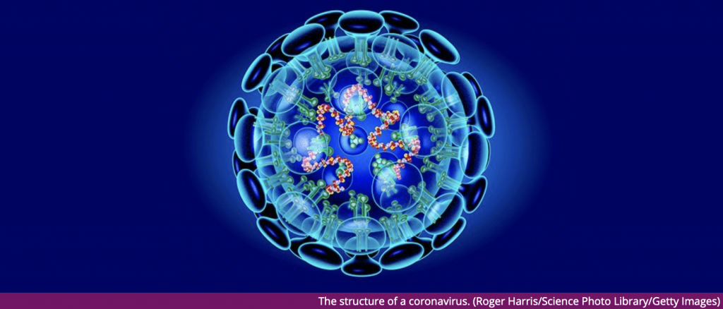 coronavirus